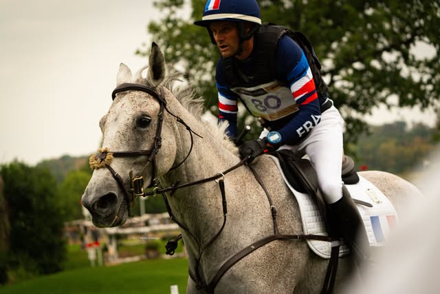 Event rider on a grey horse